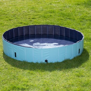 dog-pool