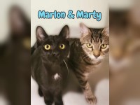 Marlon und Marty