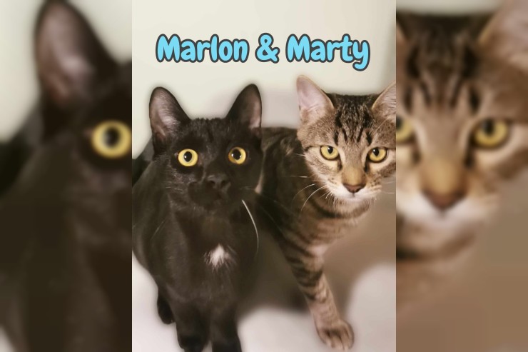 Marlon und Marty