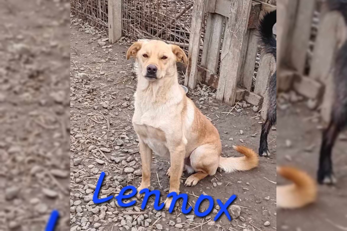 Lennox