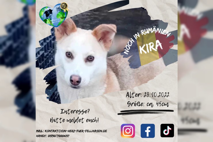 Kira