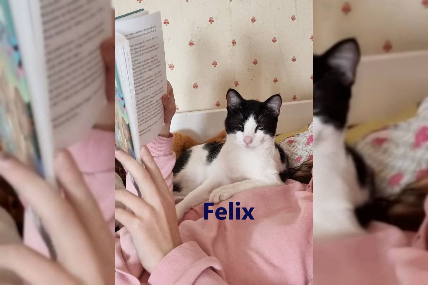 Fiete und Felix
