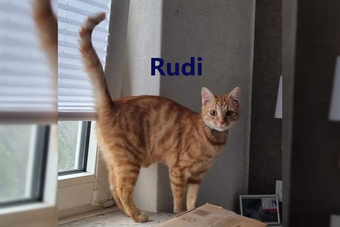 Kurt und Rudi