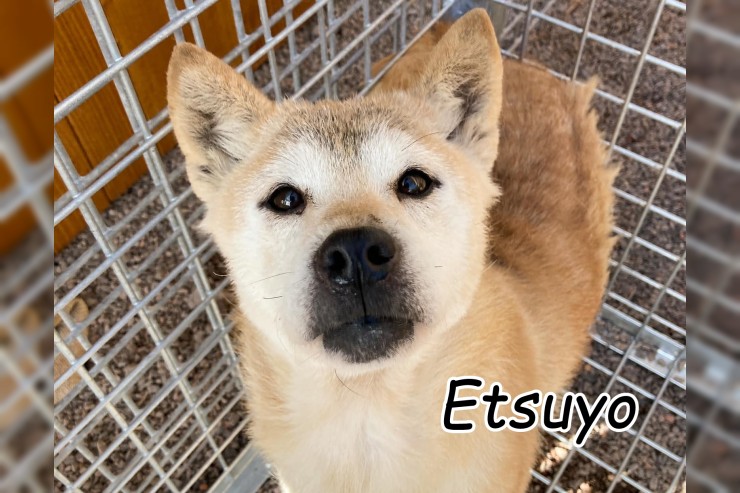 Etsuyo