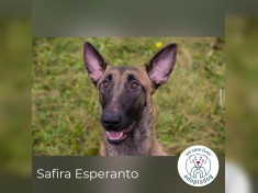 Safira Esperanto