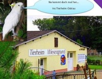 Tierheim "Wiesengrund" Ostrau - Tierschutzverein Döbeln und Umgebung e. V.