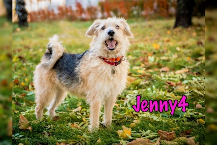 Jenny4