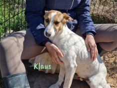 Klaus2