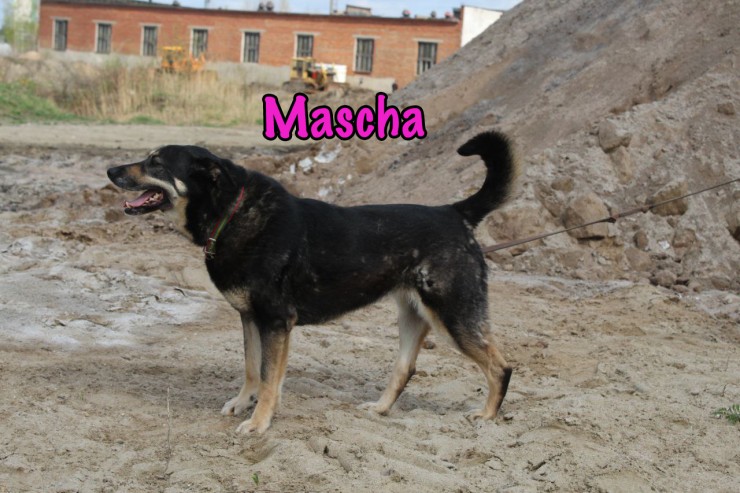 Mascha