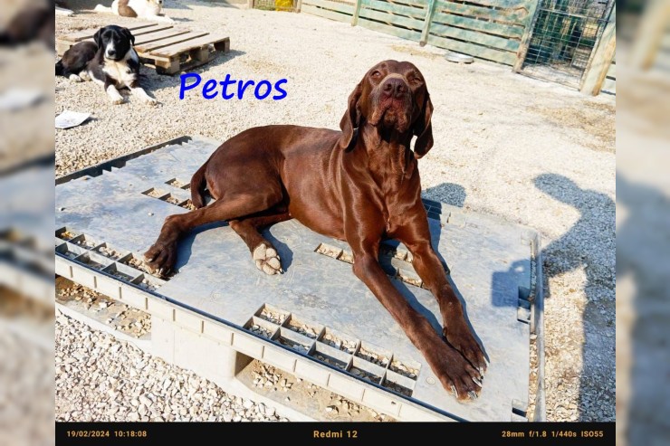 Petros