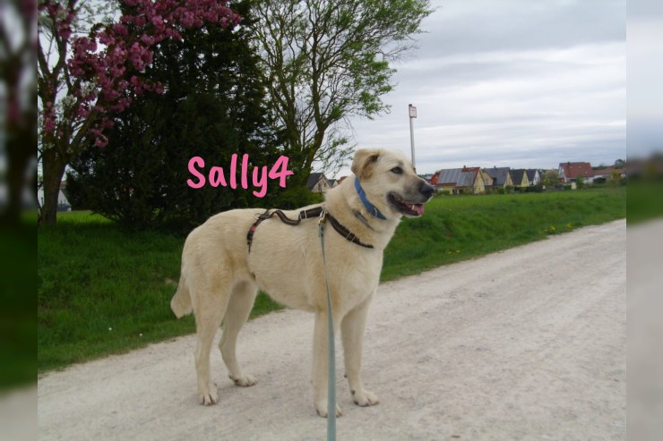 Sally4