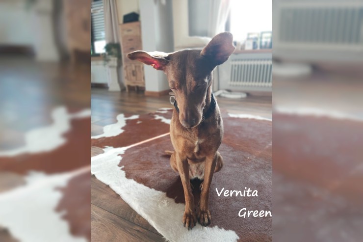 Vernita Green