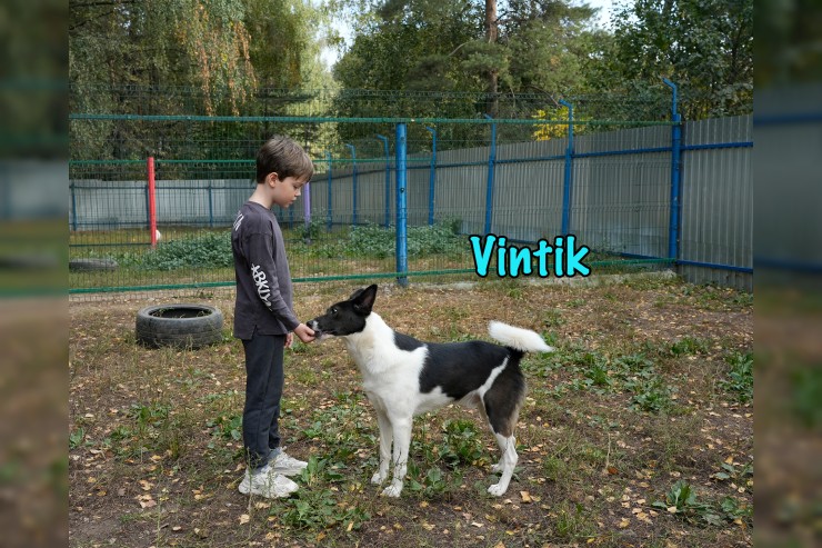 Vintik