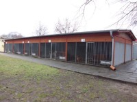 Tierschutzverein Cottbus e.V. -Tierheim Cottbus
