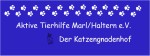 Aktive Tierhilfe Marl/Haltern e.V. - Der Katzengnadenhof -