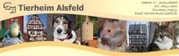 Tierschutzverein Alsfeld und Umgebung e.V. - Tierheim Alsfeld
